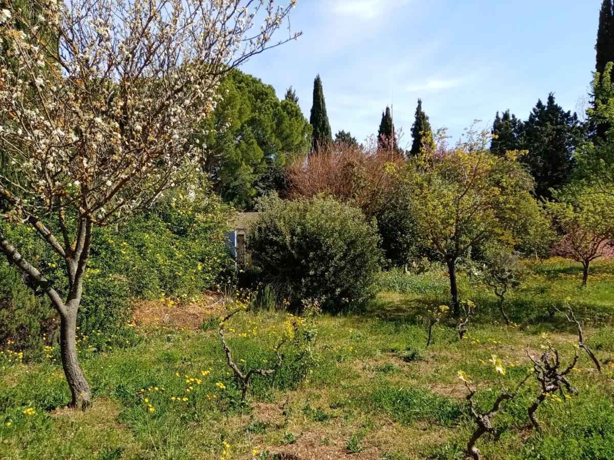מלון Pignans Au Mas Saint Pierre מראה חיצוני תמונה
